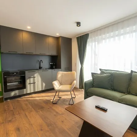 Le Premium-prestige Euroairport * Hesingue