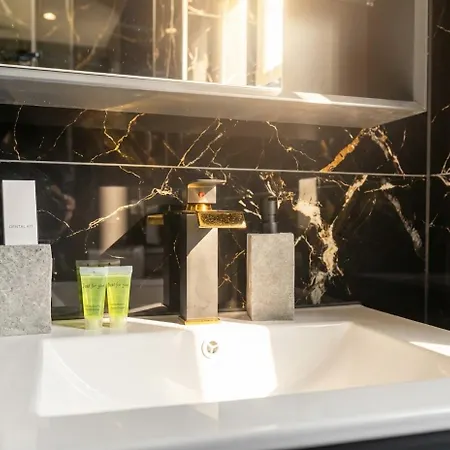 Le Premium-prestige Euroairport * Hesingue